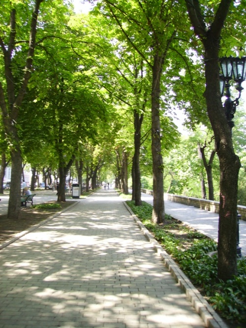 IMGP0010.JPG