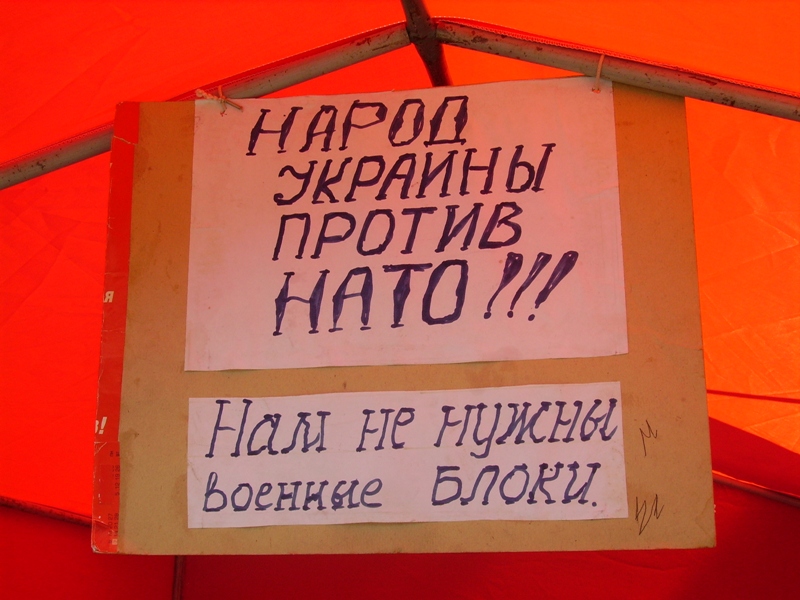 IMGP0035.JPG