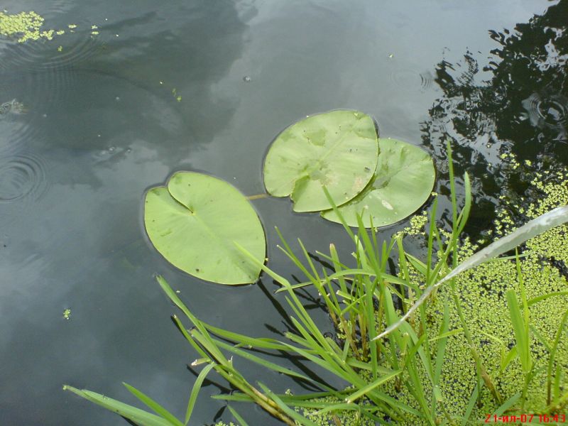 DSC00202.JPG