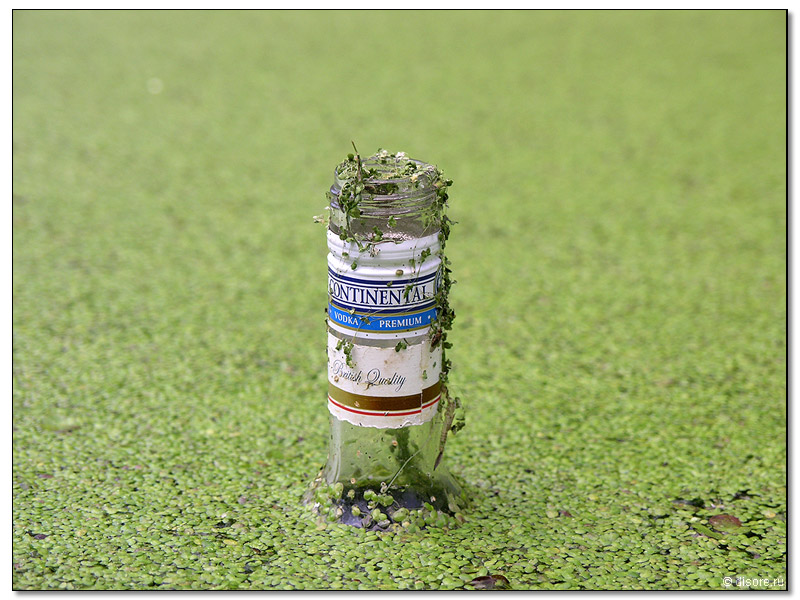 Речка-вонючка в Монино)