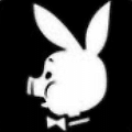 Playpig.gif