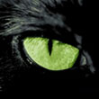 eyes9.jpg