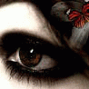 730de46780b7aa8e28a8da33c1ee98a4.gif