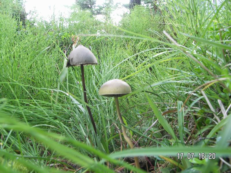 PICT0030.JPG