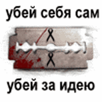 987195_1653441.gif