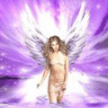 4328554.gif
