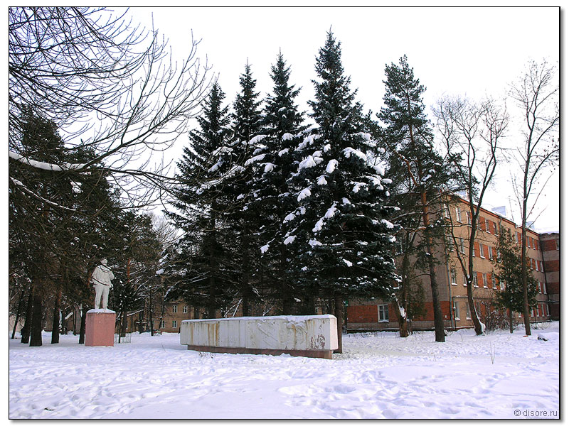 06.jpg
