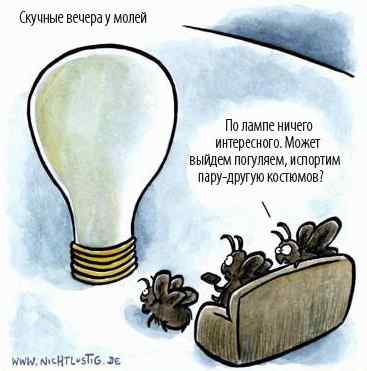 1185397630_stopme_ru_66_0_20070129_11767_9.jpg