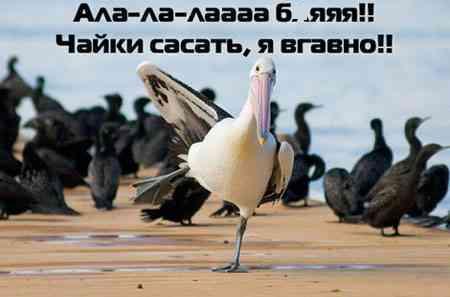 1185397022_stopme_ru_58_0_20070320_12226.jpg