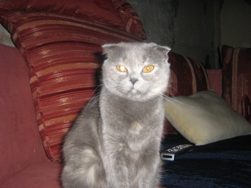 Филюня.jpg