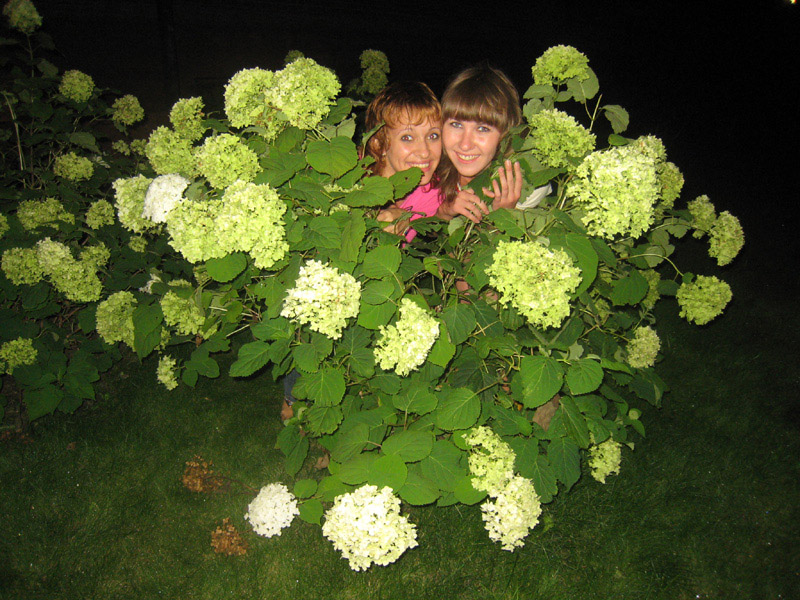 IMG_1728_800x600.jpg