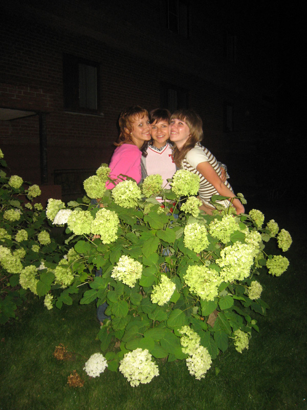 IMG_1731_800x600.jpg