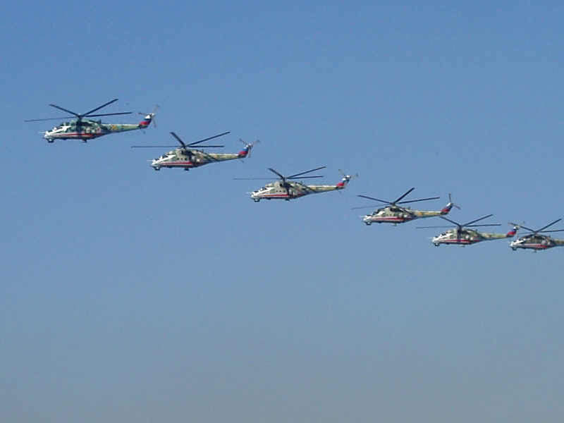 беркуты