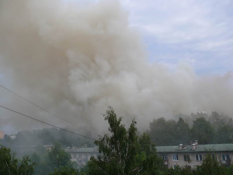 P1000003.JPG