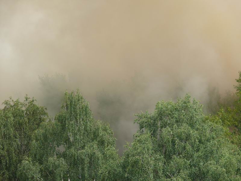 P1000009.JPG
