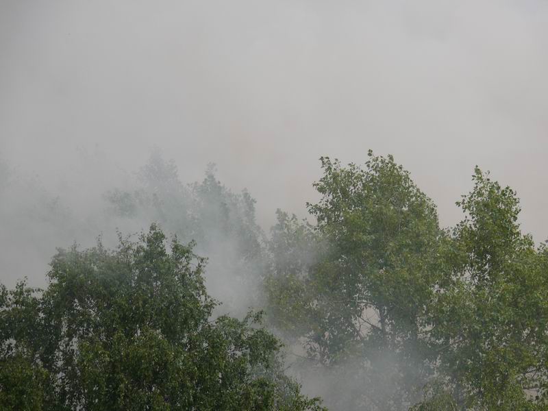 P1000011.JPG
