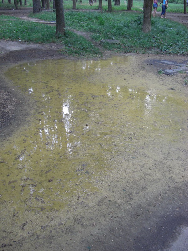 CIMG0729.jpg