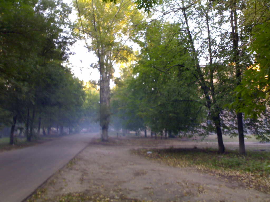 17082007356.jpg