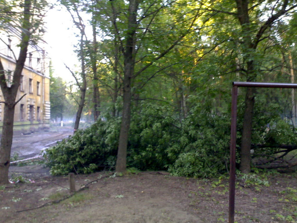 17082007359.jpg