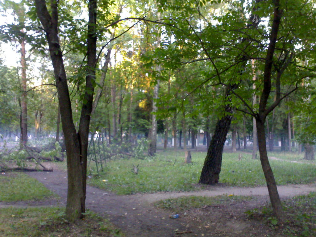 17082007363.jpg