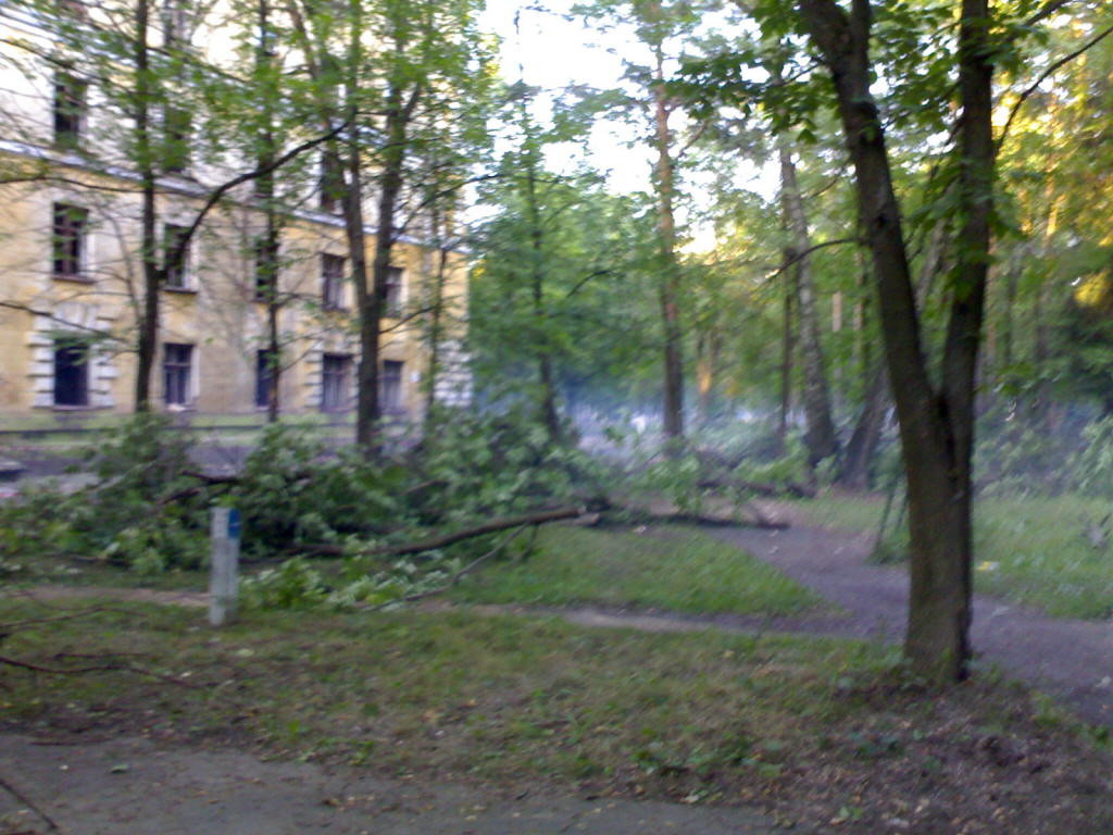 17082007362.jpg