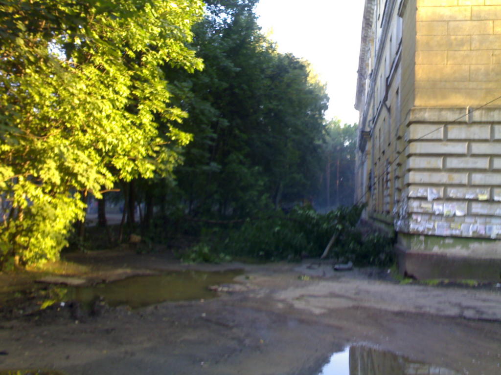 17082007374.jpg
