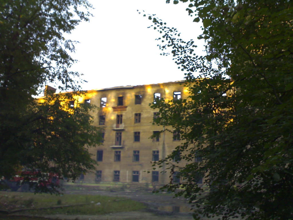 17082007382.jpg
