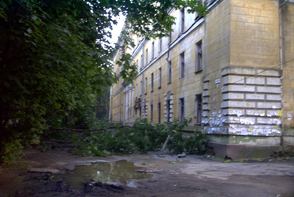 Дерево
