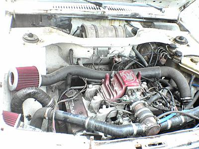 753545.jpg