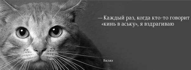 dhit851.jpg
