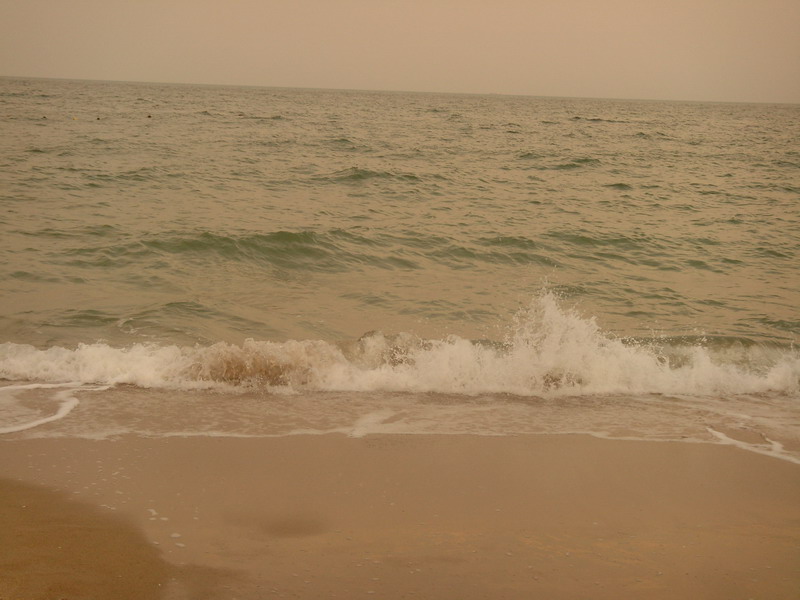 S73R0235.jpg