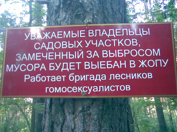 lesniki.jpg