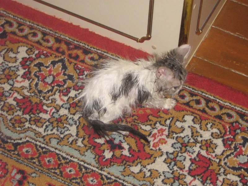 IMG_2583.jpg