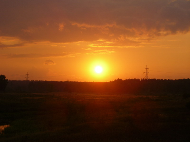 SANY0038.jpg