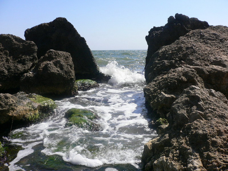P1050467.jpg