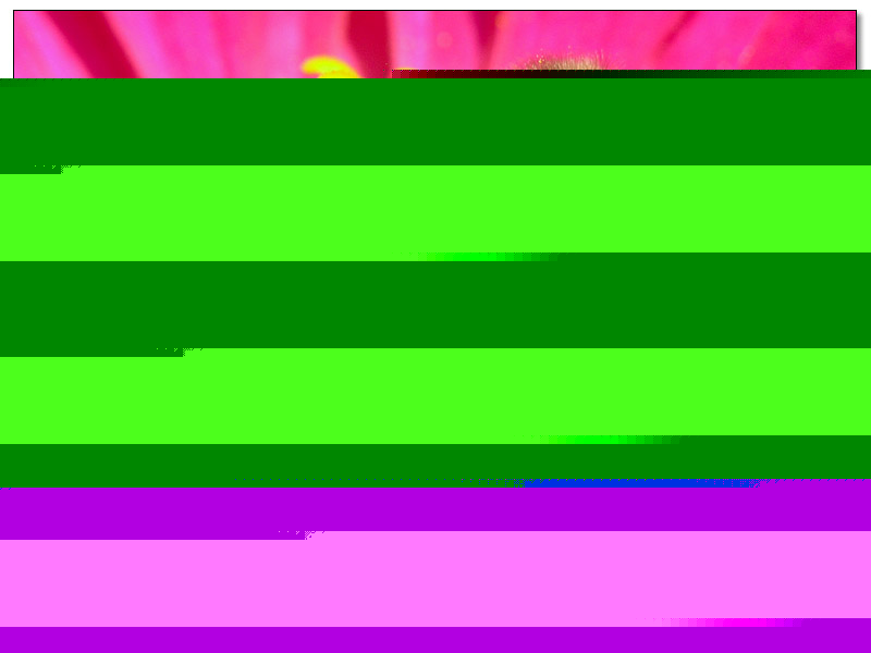 144.jpg