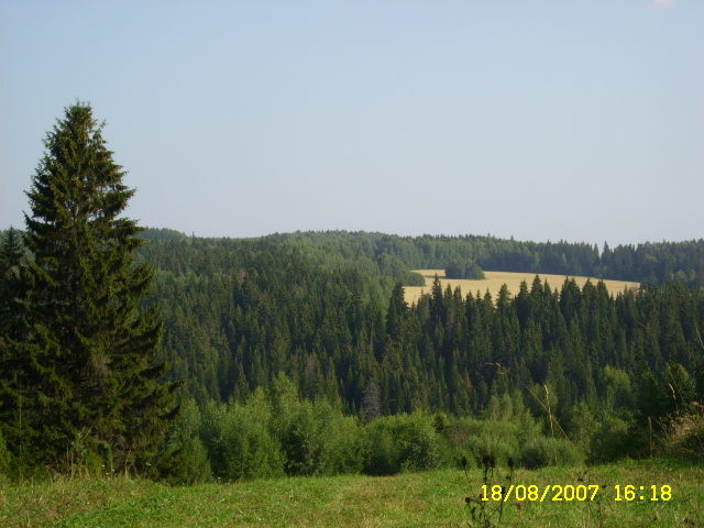 SL700434.JPG