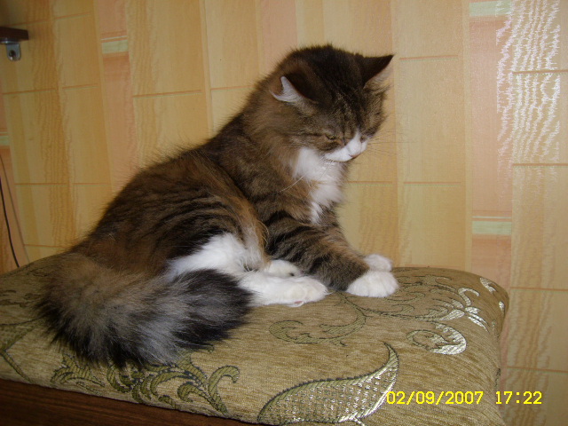 555.JPG