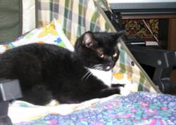 clip_image002.jpg