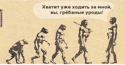 xvatt.jpg