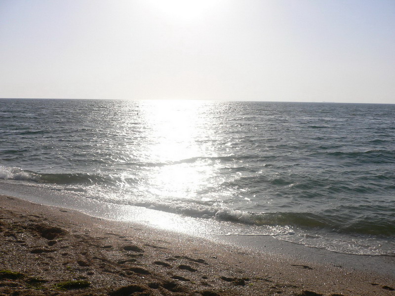 P1050436.jpg