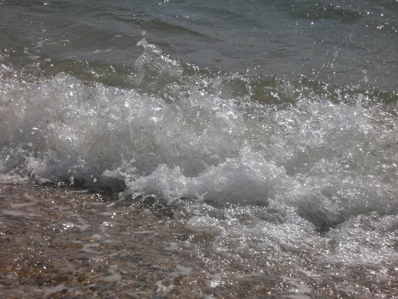 P1050448.jpg