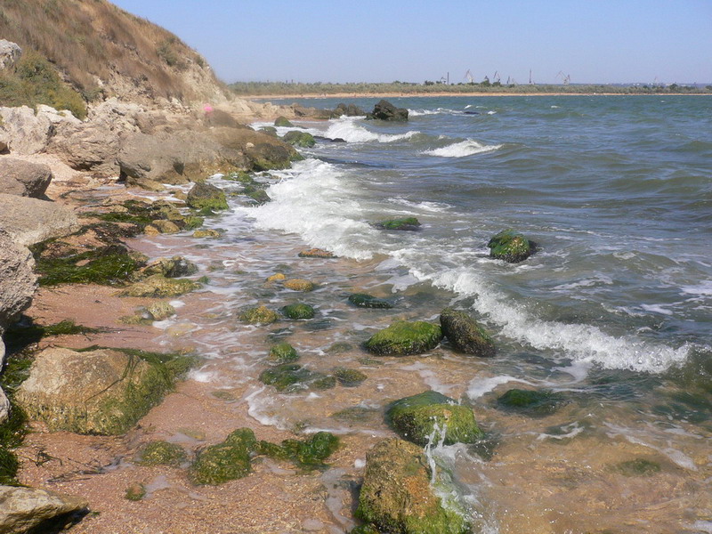 P1050477.jpg