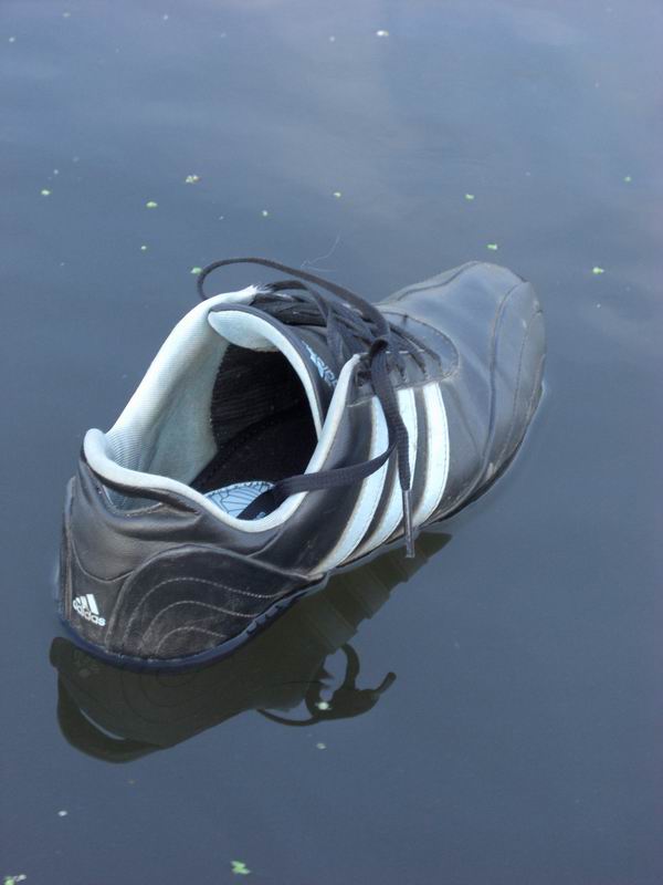 Resize of CIMG0828.JPG