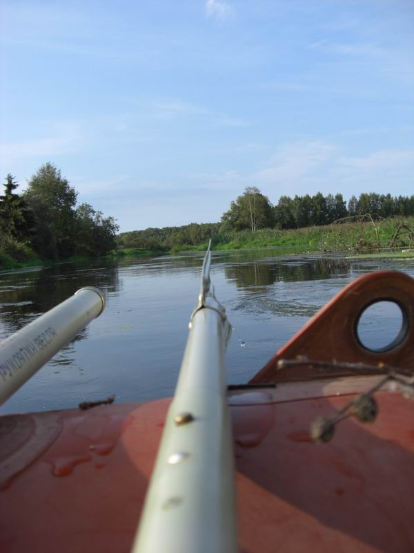 Resize of CIMG0820.JPG