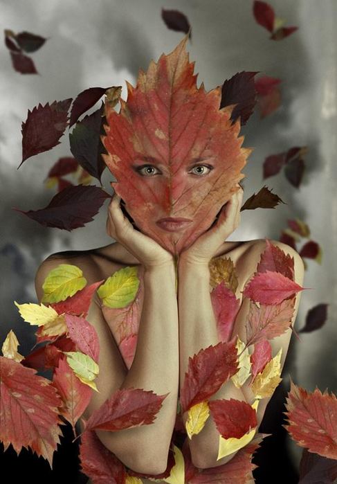 1208666_Beauty_of_the_Autumn.jpg