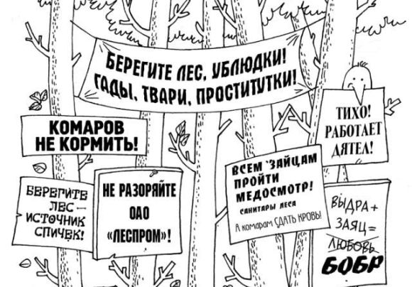 259.jpg