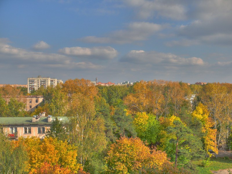 Trees.jpg