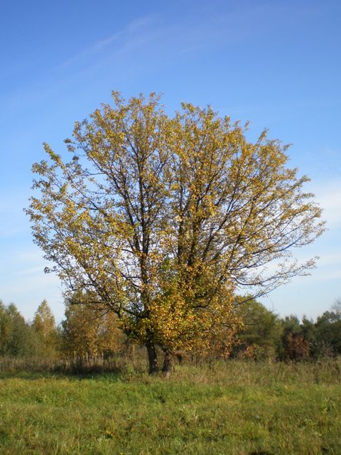 P9230008.JPG