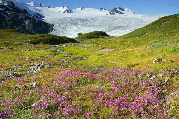 alpi_0.jpg